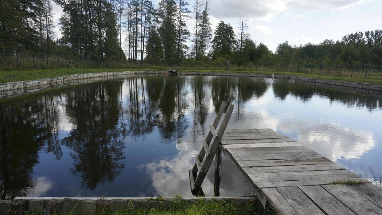 Agroturystyka Ostrowie Villa Dabrowa Bialostocka Kültér fotó