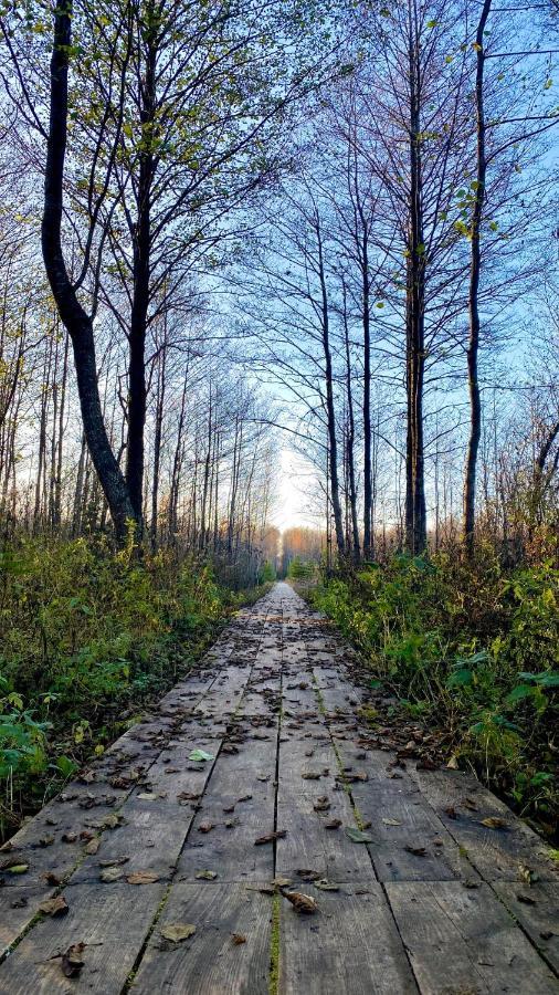 Agroturystyka Ostrowie Villa Dabrowa Bialostocka Kültér fotó